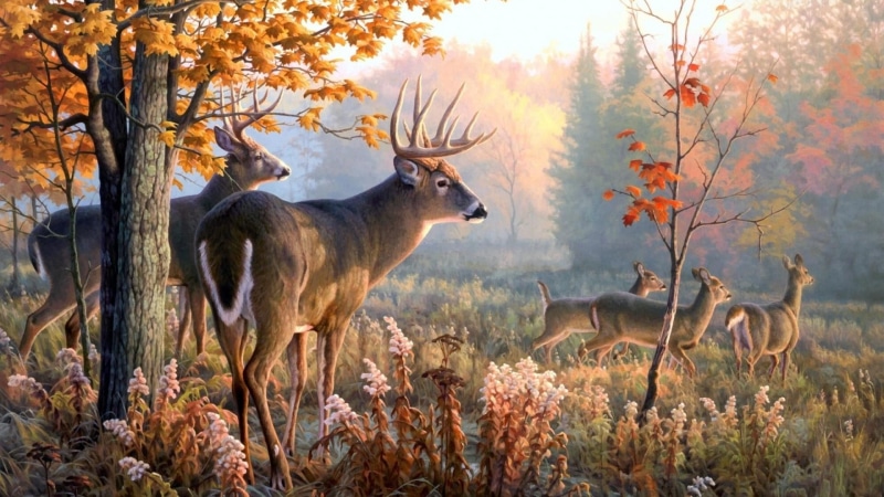 day, group of animals, mammal, deer, growth, land, autumn, no people, field, herbivorous, beauty in nature, tree, painting, 1080P, nature, animal themes