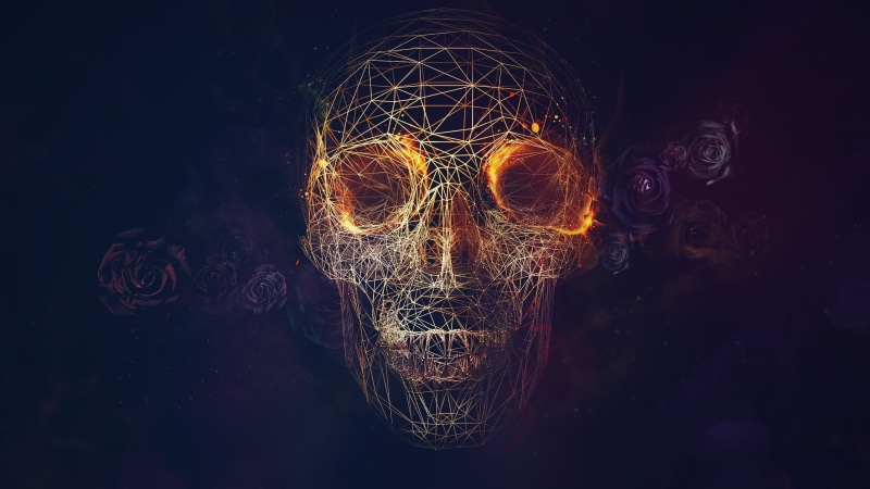 wireframe, motion, 2K, rose, skull, light, digital art, nature, black, night, indoors, abstract, art and craft, lighting equipment, no people, illuminated