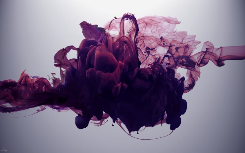 plant, purple, freshness, drop, paint, smoke, fragility, inflorescence, gray background, rose, close-up, blue, creativity, bouquet, flower head, paper