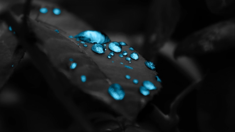 macro, gemstone, focus, fashion, drop, leaves, close-up, studio shot, marbles, elegance, photography, blue, dark, wet, extreme close-up, no People