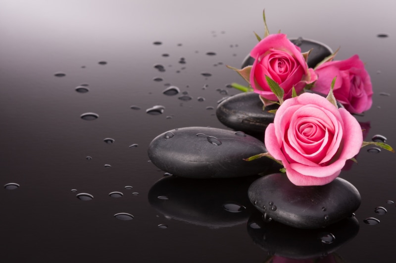 fragility, backgrounds, 4K, pink Color, vulnerability, beauty In Nature, spa Treatment, flower head, pebble, indoors, rose, flower arrangement, flowers