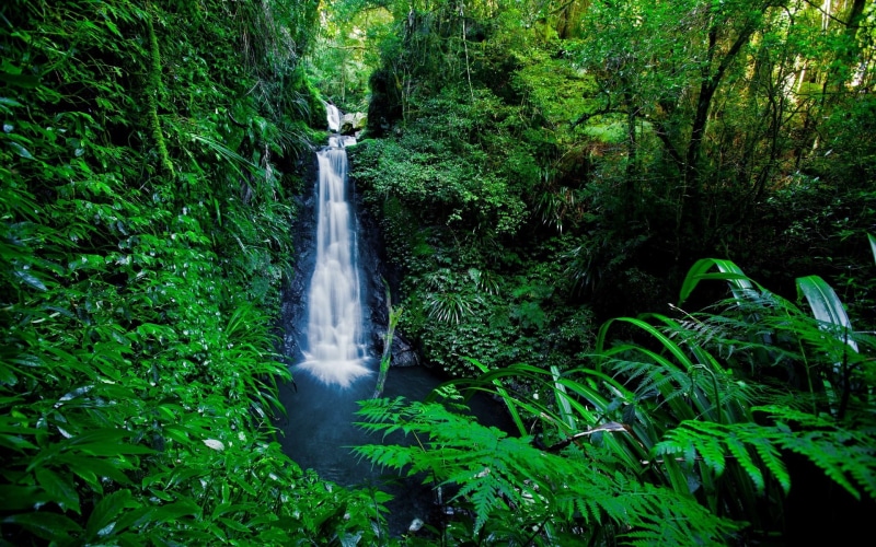 long exposure, flowing, no people, scenics - nature, land, lush foliage, motion, blurred motion, nature, falling water, power in nature, computer desktop  full screen nature pics 1920x1200