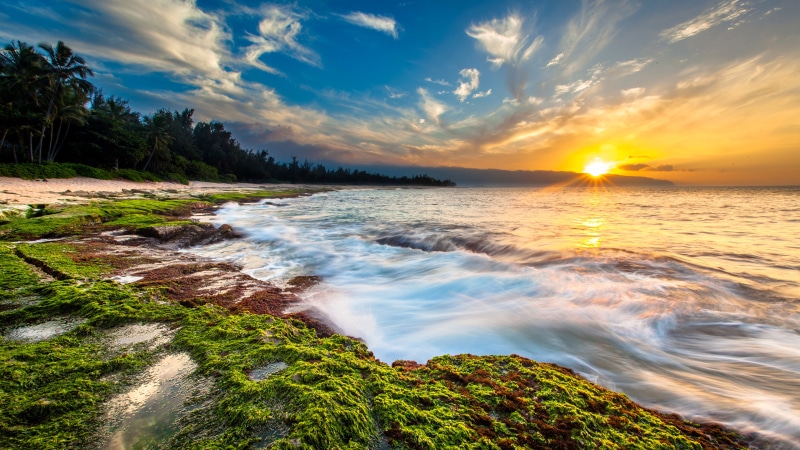 tranquil scene, tranquility, hawaii, phones, 4K, dawn, k, plant, sea, flowing water, outdoors, mobile, no people, nature, land, motion, idyllic
