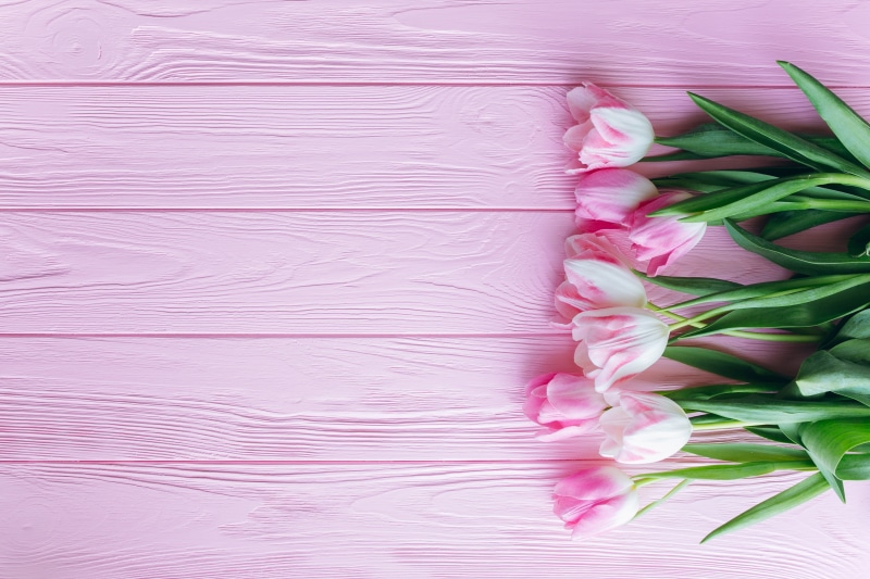 directly above, rose, no people, flower, close-up, wooden background, high angle view, indoors, fragility, still life, nature, petal, pink color, 4K, copy space