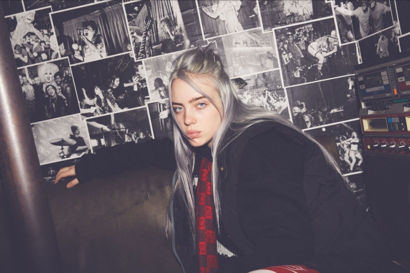 Grey Hair, Billie Eilish, American, Singer, 1080P, Singers