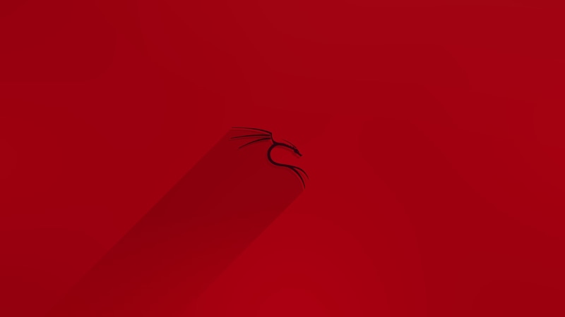 creativity, studio shot, close-up, indoors, heart shape, Kali, positive emotion, emotion, shadow, colored background, 1080P, single object, Kali Linux