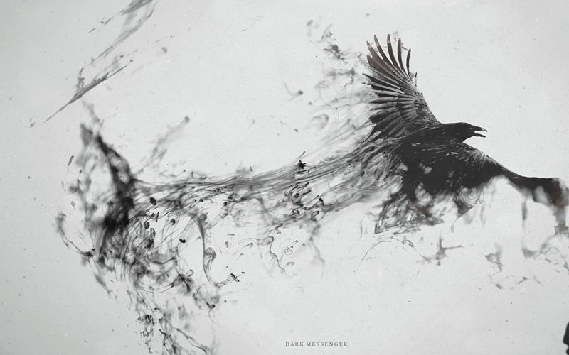 nature, animal, photo manipulation, water, no people, outdoors, eagle, vertebrate, digital art, black, swimming, birds, animal wildlife, monochrome, sketch