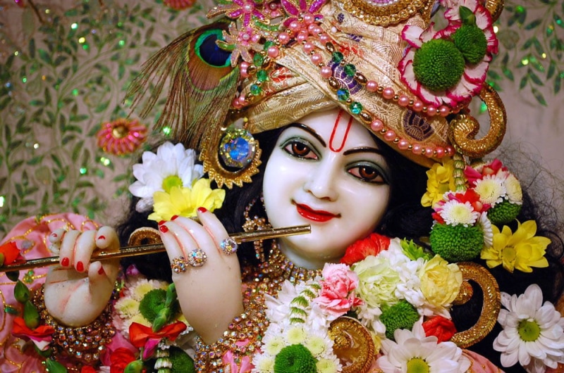 headshot, headdress, 480P, beauty, God, close-up, young women, celebration, beautiful woman, clothing, flower, flowering plant, make-up, hindu