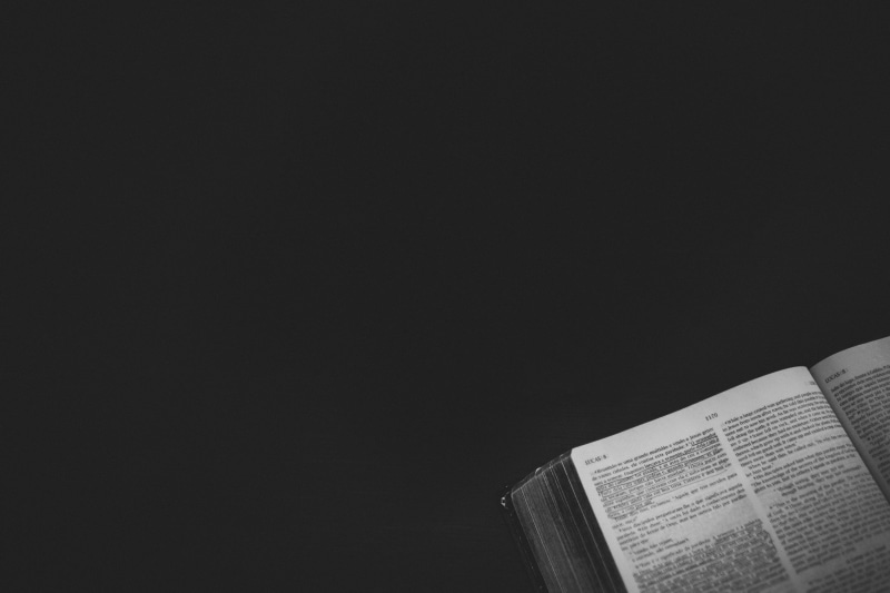 expertise, studio shot, book, bible study, learning, hardcover book, wisdom, education, bible, black background, christian, still life, reading, publication