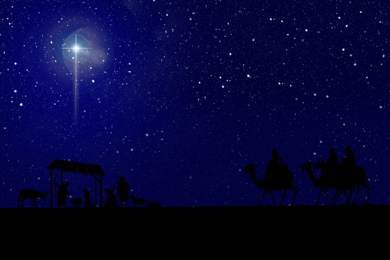 christmas, nature, illuminated, field, astronomy, outdoors, 4K, low angle view, scenics - nature, star field, sky, star, silhouette, crib, xmas, bethlehem