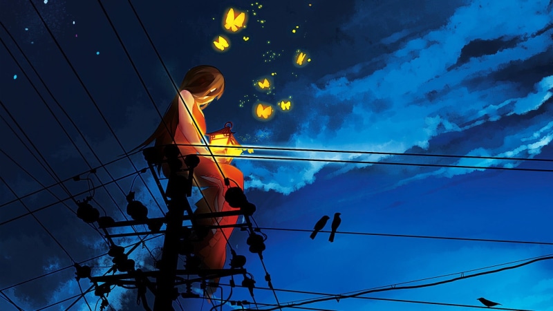 dress, digital, sitting, outdoors, connection, night, illuminated, birds, women, telephone line, power supply, power line, utility pole, cloud - sky, character