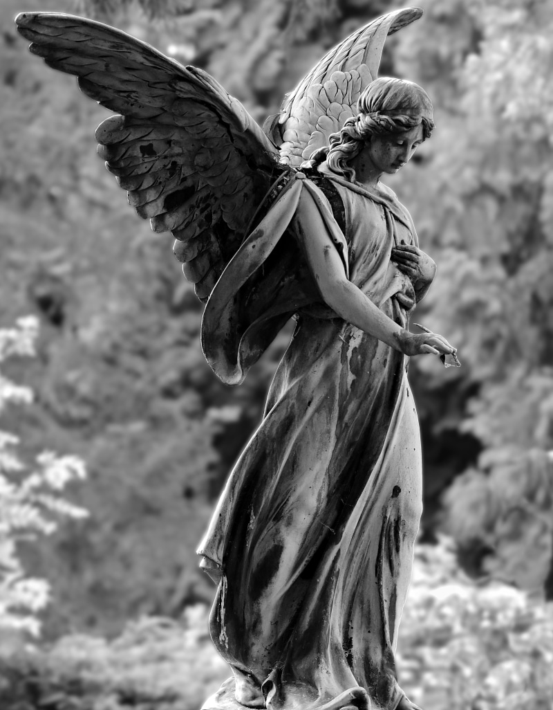 outdoors, wing, females, land, memory, cemetery, nature, sculpture, standing, statue, closeup, artwork, holding, 4K, field, three quarter length, stone statue