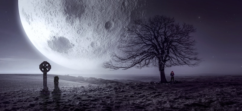 5K, fantastic, standing, nature, mysterious, environment, dream, outdoors, magical, light, gloomy, tranquil scene, moon, real people, tranquility, woman