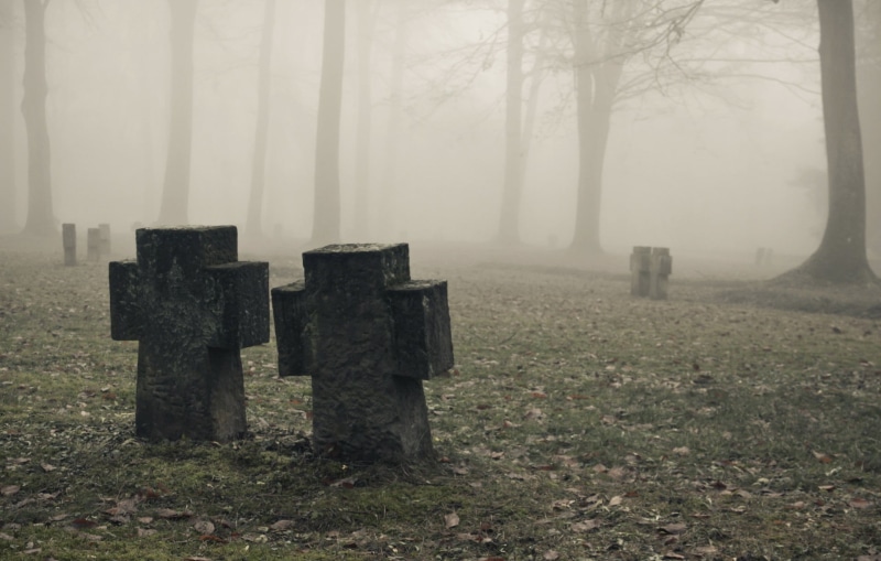landscape, no people, sadness, tranquility, stone, fog, memorial, day, grave, tombstone, hazy, nature, mist, plant, tree, outdoors, grass, cemetery, field