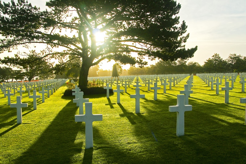 mourning, memorial, sunny, Military Cemetery, tree, grass, Omaha Beach, sky, no people, in a row, 2K, outdoors, crosses, lens flare, cemetery, stone, plant