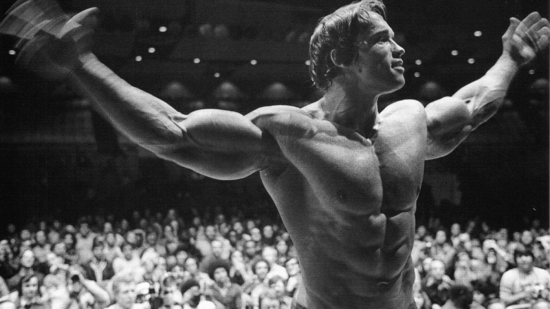human arm, crowd, human limb, people, spectator, 1080P, schwarzenegger, event, shirtless, lifestyles, group of people, cheering, sport, audience, festival