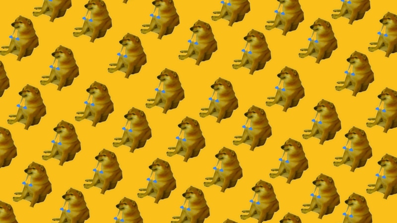 1080P, memes, Shiba Inu, doge, dorime, praying, simple background