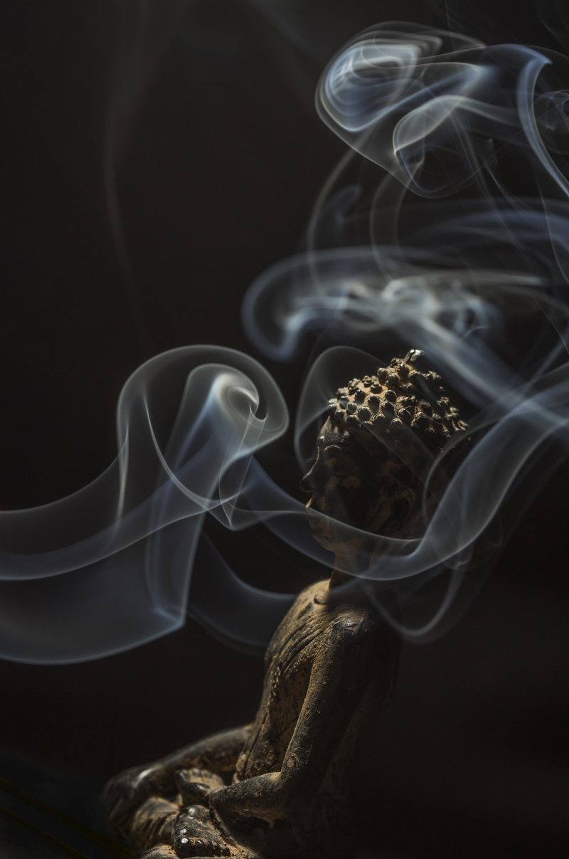 no people, smoke - physical structure, sculpture, aromatherapy, spiritual, incense, zen, pray, gautama, close-up, smoke, plant, prayer, studio shot, white color