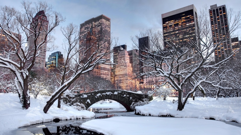 united states, building, tree, new york, winter, 4K, city, central park, park, new york city, snow, manhattan, sky