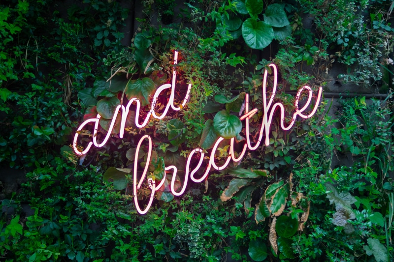 relax, message, typography, words, growth, sign, design, western script, breathe, illuminated, pink, text, neon, information sign, nature, calm, wall, leaf