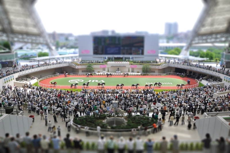 togetherness, shift, horse Racing, field, focus, photography, stadium, crowd, real people, people, spectator, standing, city life, travel destinations