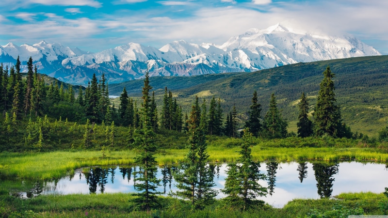 green, trees, non-urban scene, snowcapped mountain, tree, mountain range, pine, nature, growth, daylight, idyllic, beauty in nature, sky, water, scenics - nature