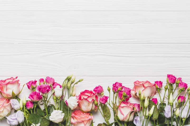 Eustoma, 5K, Roses, Flowers, Background