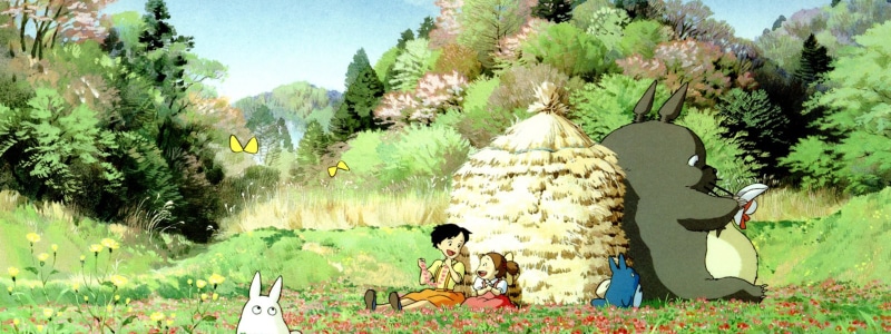 no people, plant, grass, 2K, nature, domestic, beauty in nature, pets, green color, My Neighbor Totoro, sunlight, mammal, tree, growth, animal themes