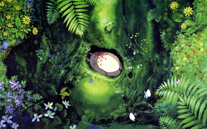 Falling, Asleep, Totoro, Hayao, Miyazaki, 2K, Neighbor, My