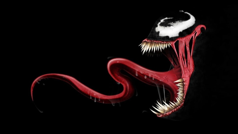 no people, side view, studio shot, animal, Venom, Marvel Comics, animal themes, marvel, one animal, black color, creativity, 720P, indoors, bird, Spider-Man