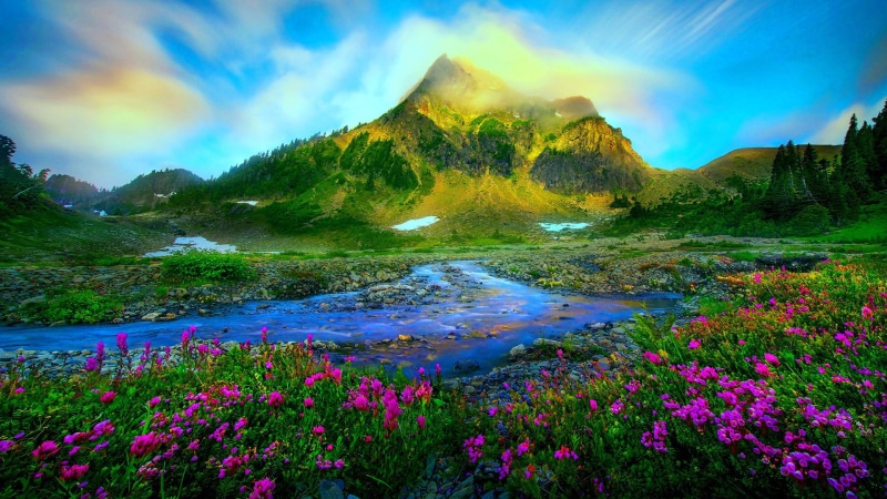 landscape, wild, snow, flowers, purple, clear, spring, sky, mountain, melting, grass, high, nature, stream, green, stones, images, 1080P, resolution