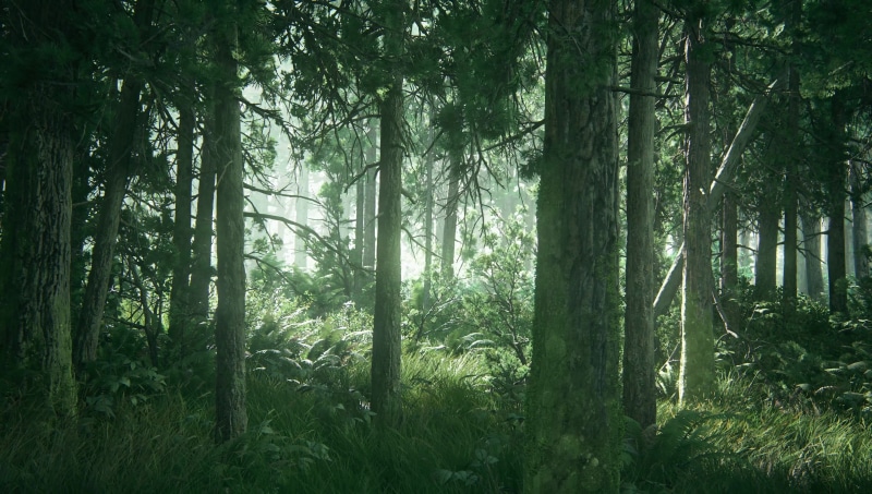tree trunk, video games, The Last of Us, Part II, tranquility, streaming, sunlight, 4K, no people, green, forest, growth, environment, plant, land, green color