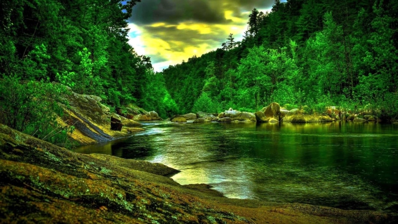 river, cloud - sky, scenics - nature, water, flowing water, amazon, tranquility, forest, outdoors, land, waterfront, beauty in nature, rainforest, green color