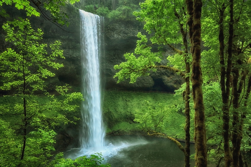 waterfall, Foliage, Canon  EOS  5DS  R, 4L, Images, Spring, 8K, near, Greenhouse, Camera, USM, Landscape, green Color, time, tropical Rainforest, South