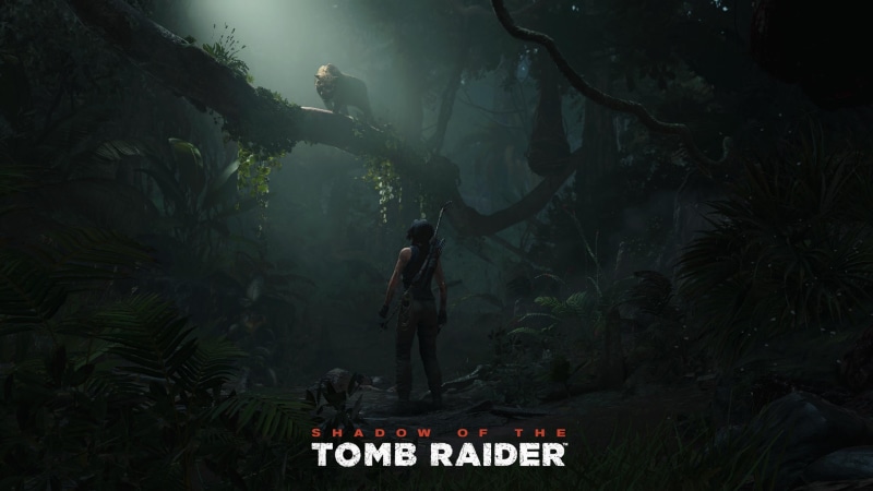 number, rainforest, nature, Shadow of the Tomb Raider, tropical climate, Lara Croft, tree, plant, Tomb Raider, 2K, day, western script, forest, land, video games