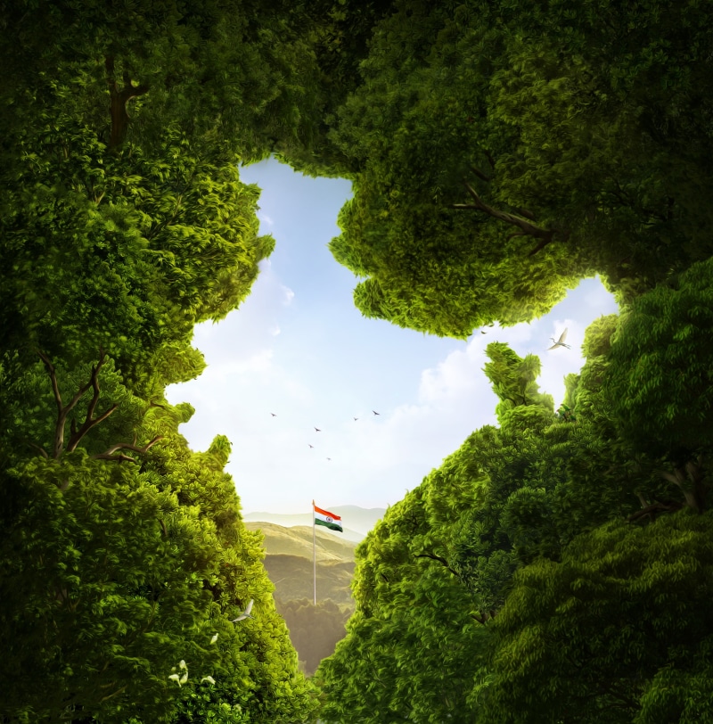 CGI, Trees, leaf, India, HD, Flag of India, 2K, tree, green