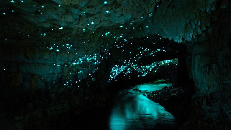 cave, night, 1080P, New Zealand, water, Waitomo Glowworm Caves
