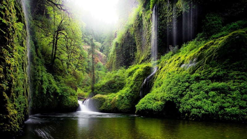 tree, green color, flowing, plant, lush foliage, idyllic, outdoors, waterfall, 1080P, tranquility, beauty in nature, pc  nature beauty 2048x1152, growth