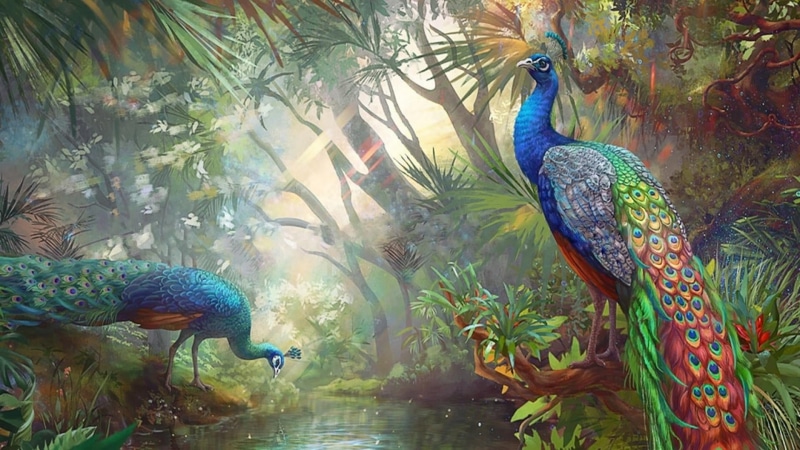 rainforest, painting, fish, group of animals, underwater, marine, nature, animal, swimming, wildlife, peacock, birds, animal themes, outdoors, sea, animals in the wild