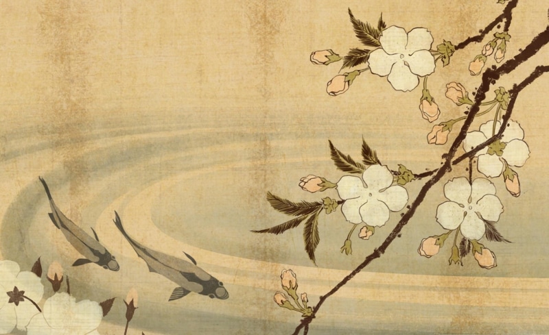 near, two, art, 1080P, painting, cherry, cherry blossoms, japanese, water, fishes, 3d and abstract, lake, carp, blossom