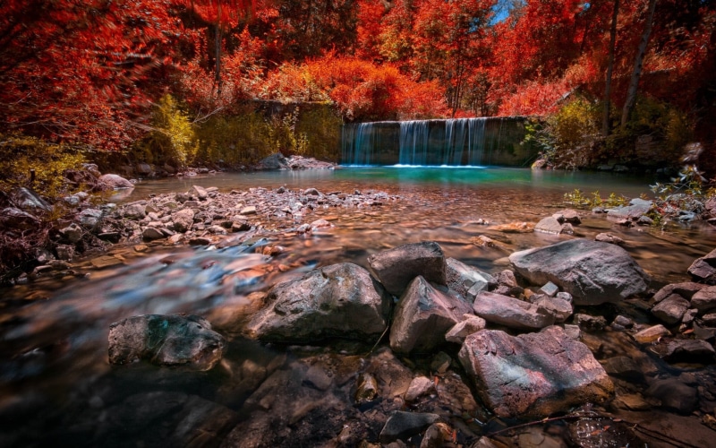 stream - flowing water, woodland, autumn collection, plant, colorful, green Color, plant part, solid, beauty In Nature, trees, river, multi Colored, stream