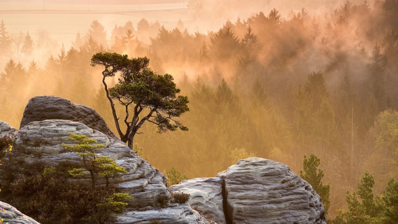 landscape, fog, non-urban scene, environment, mountains, cliff, plant, travel, rock, tranquil scene, land, beauty in nature, forest, solid, tranquility