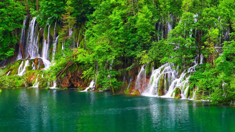 4K, lake, vegetation, croatia, national park, amazing, plitvice lakes national park, plitvice lakes, europe, waterfalls, body of water, water, beautiful