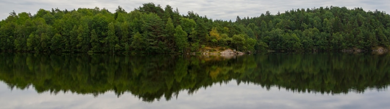 green, beauty in nature, landscape, plant, scenics - nature, coniferous tree, waterfront, tree, no people, water, lagoon, forest, multiple display, land