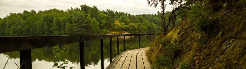 4K, pine tree, tranquility, green color, brown, multiple display, water, land, fence, dual monitors, nature, scenics - nature, no people, built structure