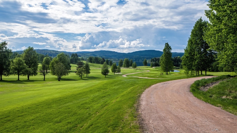 Green, Landscape, 1080P, Summer, Hills, Grass, Norway, Road, Trees