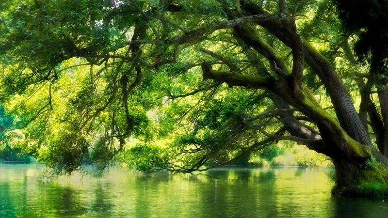 macedonia, river, green, water, nature, landscape, 1080P, forest, trees, 1920x1080