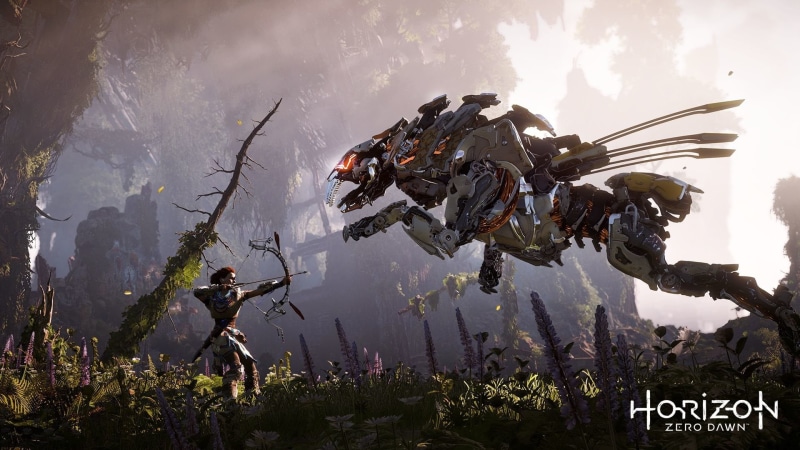 water, adventure, sea, day, communication, dawn, zero, motion, Horizon Zero Dawn, photography themes, group of people, real people, plant, 1080P