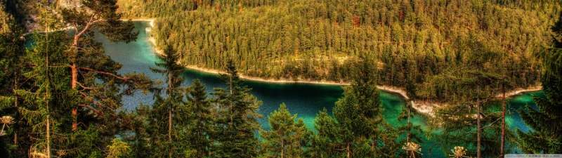 plant, leafed, pollution, tree, forest, tranquility, day, trees, tranquil scene, nature, outdoors, green, environment, woodland, water, growth, green color