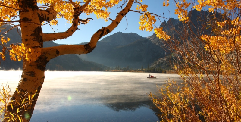 forest, trunk, leafed, travel, water, tranquil Scene, multi Colored, mountains, blue, mountain, tree trunk, gold Colored, season, travel Destinations, scenics - nature
